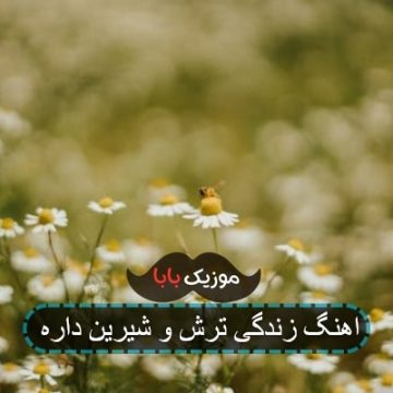 اهنگ زندگی اناره ترش شیرین داره اهنگ زندگی اناره ترش شیرین داره