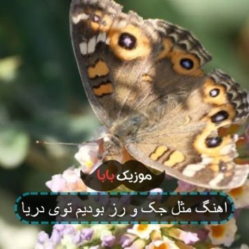 اهنگ مثل جک و رز بودیم توی دریا