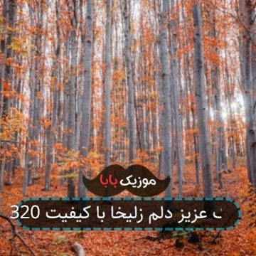 آهنگ عزیز دلم زلیخا یار خوشگلم زلیخا آهنگ عزیز دلم زلیخا یار خوشگلم زلیخا