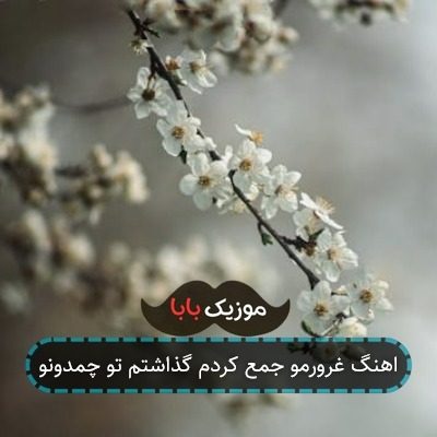 اهنگ غرورمو جمع کردم گذاشتم تو چمدونو