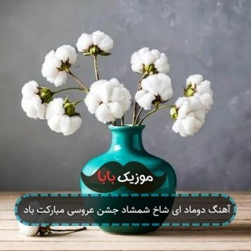 آهنگ دوماد ای شاخ شمشاد جشن عروسی مبارکت باد