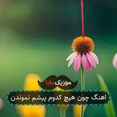 اهنگ چون هیچ کدوم پیشم نموندن
