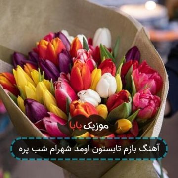 آهنگ بازم تابستون اومد شهرام شب پره
