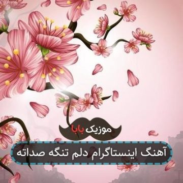 آهنگ اینستاگرام دلم تنگه صداته