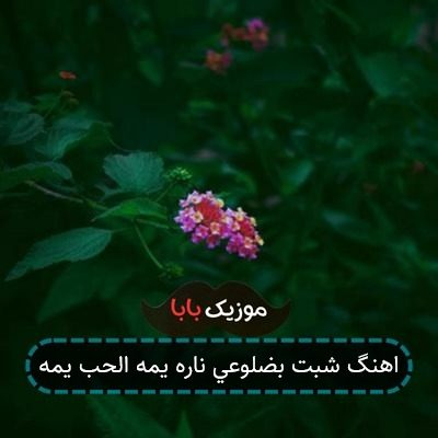 اهنگ شبت بضلوعی ناره یمه الحب یمه