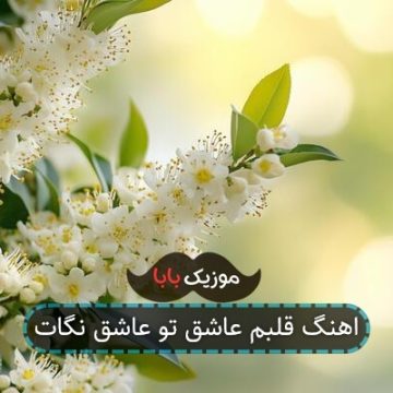 اهنگ قلبم عاشق تو عاشق نگات