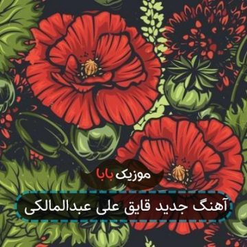 آهنگ جدید قایق علی عبدالمالکی آهنگ جدید قایق علی عبدالمالکی