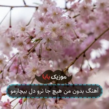 آهنگ بدون من هیچ جا نرو دل بیچارمو آهنگ بدون من هیچ جا نرو دل بیچارمو