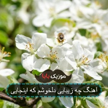 آهنگ چه زیبایی دلخوشم که اینجایی
