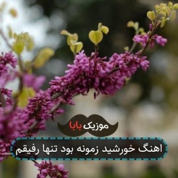 اهنگ خورشید زمونه بود تنها رفیقم
