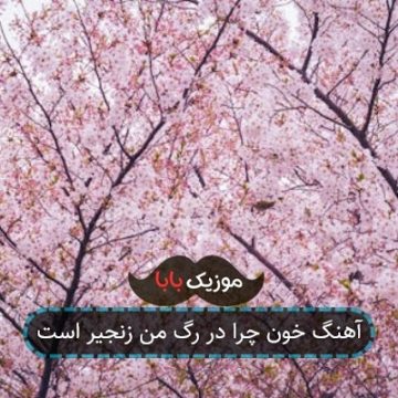 آهنگ خون چرا در رگ من زنجیر است