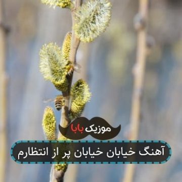 آهنگ خیابان خیابان پر از انتظارم