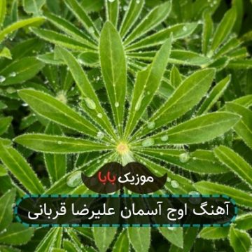 آهنگ اوج آسمان علیرضا قربانی