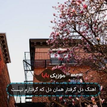 اهنگ دل گرفتار همان دل که گرفتارم نیست اهنگ دل گرفتار همان دل که گرفتارم نیست