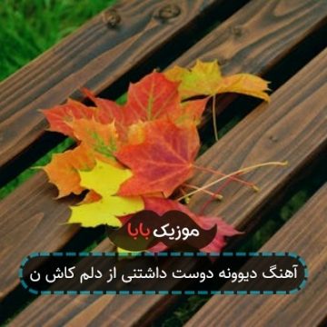آهنگ دیوونه دوست داشتنی از دلم کاش ن آهنگ دیوونه دوست داشتنی از دلم کاش ن