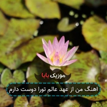 اهنگ من از عهد عالم تورا دوست دارم اهنگ من از عهد عالم تورا دوست دارم