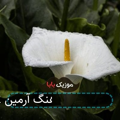 آهنگ آرمین 2afm دلم گرفته آهنگ آرمین 2afm دلم گرفته