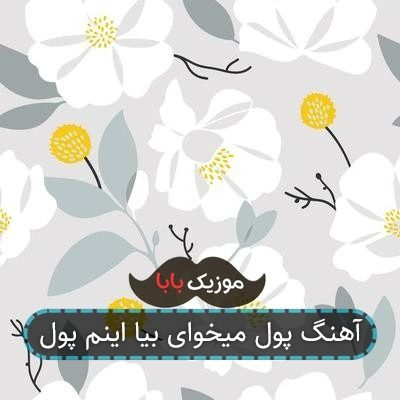 آهنگ پول میخوای بیا اینم پول