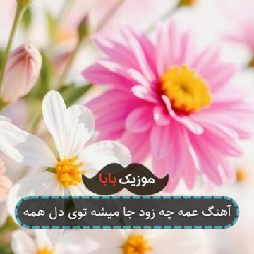 آهنگ عمه چه زود جا میشه توی دل همه