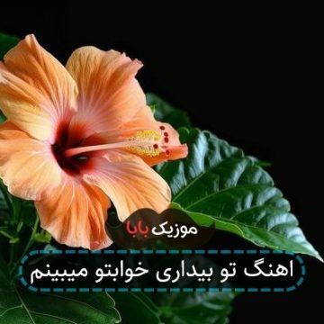 اهنگ تو بیداری خوابتو میبینم