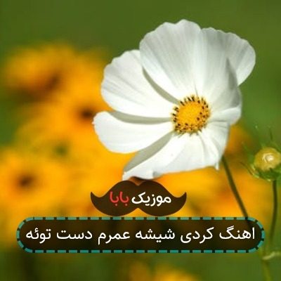 اهنگ کردی شیشه عمرم دست توئه