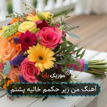آهنگ من زیر حکمم خالیه پشتم آهنگ من زیر حکمم خالیه پشتم