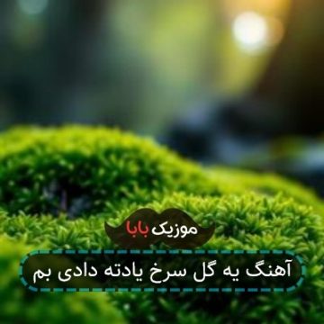 آهنگ یه گل سرخ یادته دادی بم