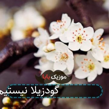 اهنگ ما دهه 80 گودزیلا نیستیم بخدا اهنگ ما دهه 80 گودزیلا نیستیم بخدا