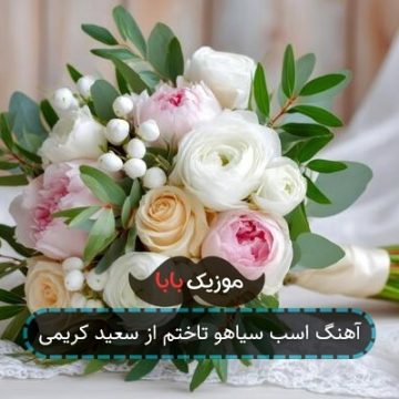 آهنگ اسب سیاهو تاختم از سعید کریمی آهنگ اسب سیاهو تاختم از سعید کریمی