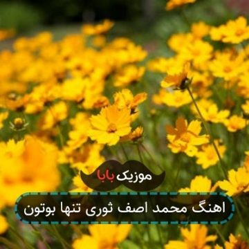 اهنگ محمد اصف ثوری تنها بوتون