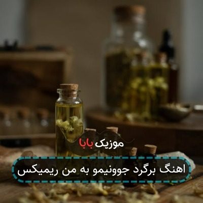 اهنگ برگرد جوونیمو به من ریمیکس اهنگ برگرد جوونیمو به من ریمیکس