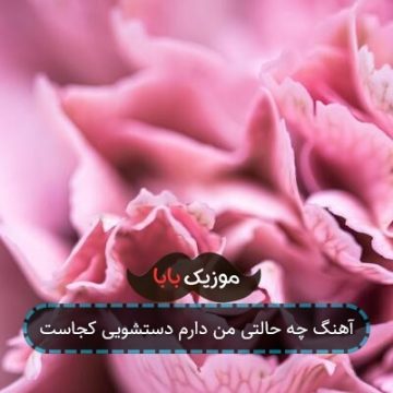 آهنگ چه حالتی من دارم دستشویی کجاست آهنگ چه حالتی من دارم دستشویی کجاست