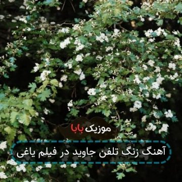 آهنگ زنگ تلفن جاوید در فیلم یاغی