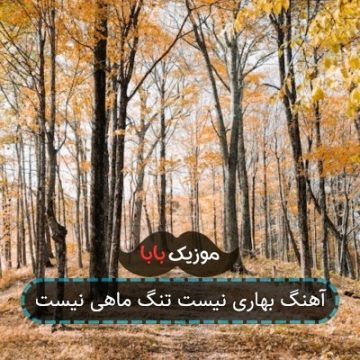 آهنگ بهاری نیست تنگ ماهی نیست