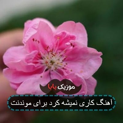 آهنگ کاری نمیشه کرد برای موندنت آهنگ کاری نمیشه کرد برای موندنت