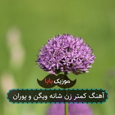 آهنگ کمتر زن شانه ویگن و پوران آهنگ کمتر زن شانه ویگن و پوران