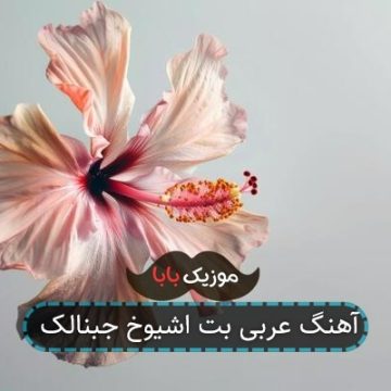 آهنگ عربی بت اشیوخ جبنالک