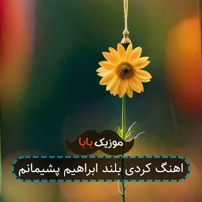 اهنگ کردی بلند ابراهیم پشیمانم