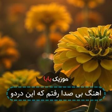 اهنگ بی صدا رفتم که این دردو اهنگ بی صدا رفتم که این دردو