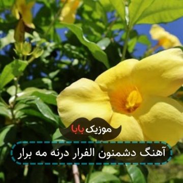 آهنگ دشمنون الفرار درنه مه برار