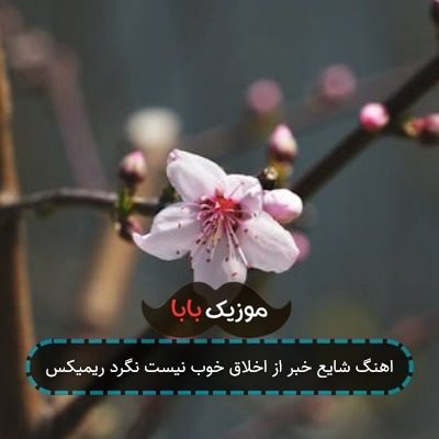 اهنگ شایع خبر از اخلاق خوب نیست نگرد ریمیکس اهنگ شایع خبر از اخلاق خوب نیست نگرد ریمیکس