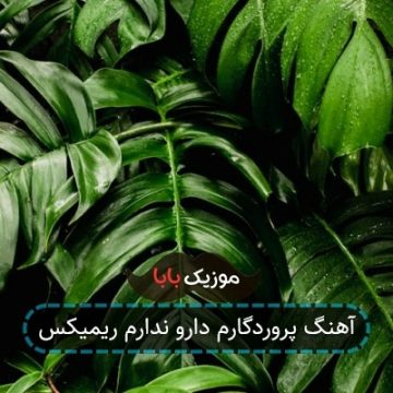 آهنگ پروردگارم دارو ندارم ریمیکس