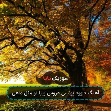 آهنگ داوود یونسی عروس زیبا تو مثل ماهی