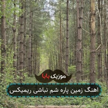 اهنگ زمین پاره شم نباشی ریمیکس