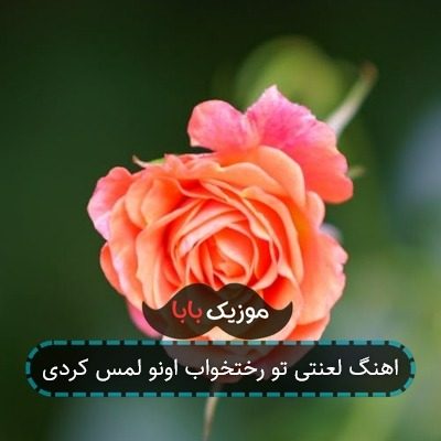 اهنگ لعنتی تو رختخواب اونو لمس کردی