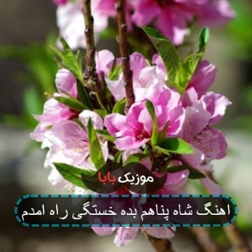 اهنگ شاه پناهم بده خستگی راه امدم اهنگ شاه پناهم بده خستگی راه امدم