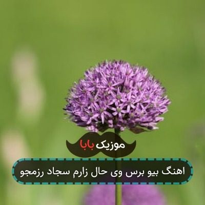 اهنگ بیو برس وی حال زارم سجاد رزمجو اهنگ بیو برس وی حال زارم سجاد رزمجو