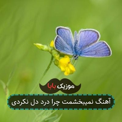 آهنگ نمیبخشمت چرا درد دل نکردی