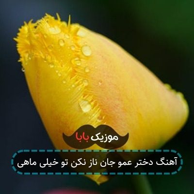 آهنگ دختر عمو جان ناز نکن تو خیلی ماهی آهنگ دختر عمو جان ناز نکن تو خیلی ماهی
