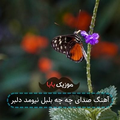 آهنگ صدای چه چه بلبل نیومد دلبر